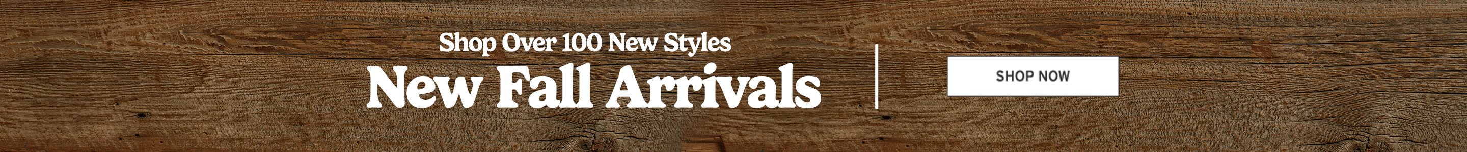 Fall New Arrivals