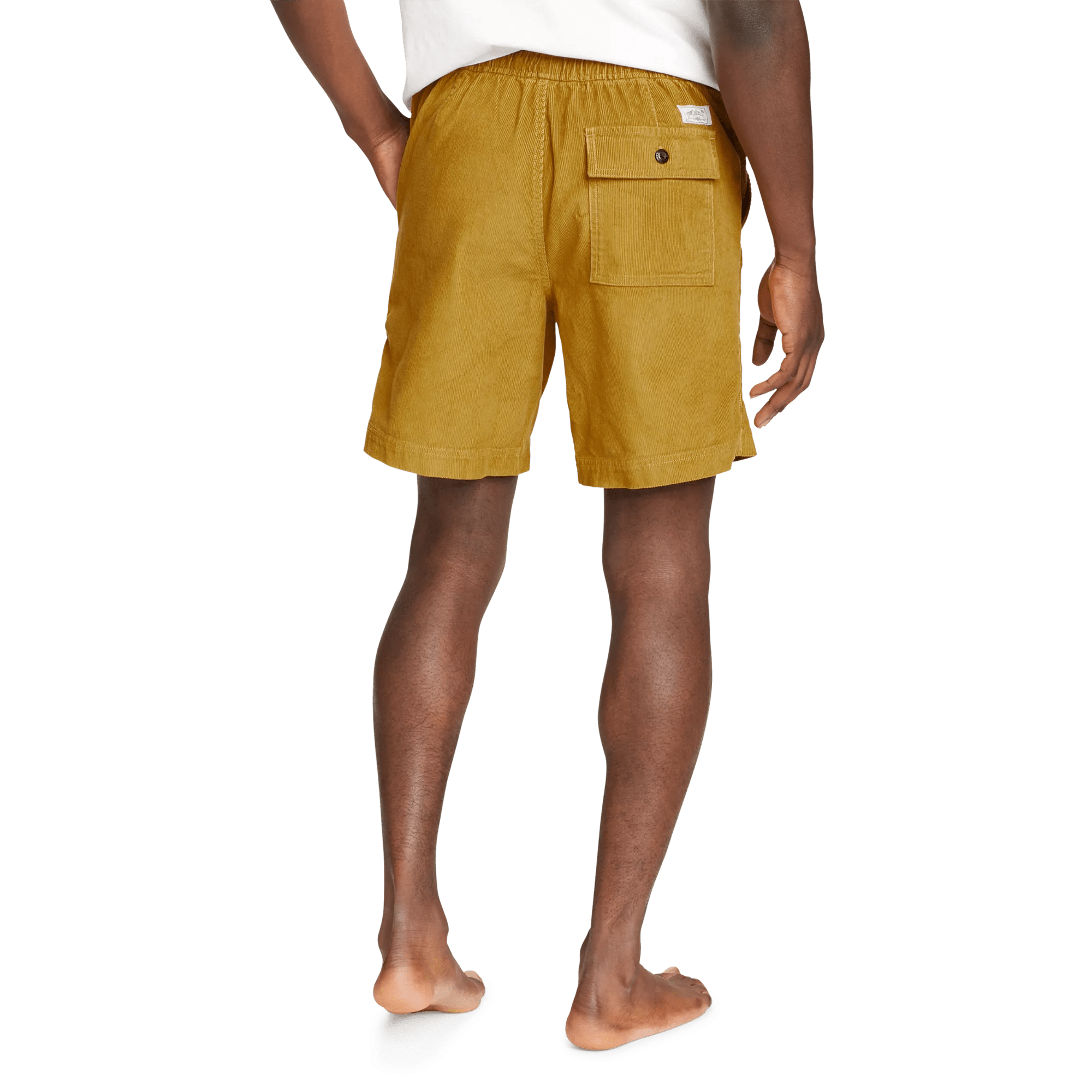 Eddie Bauer Faultline Corduroy Shorts at Hamilton Place in