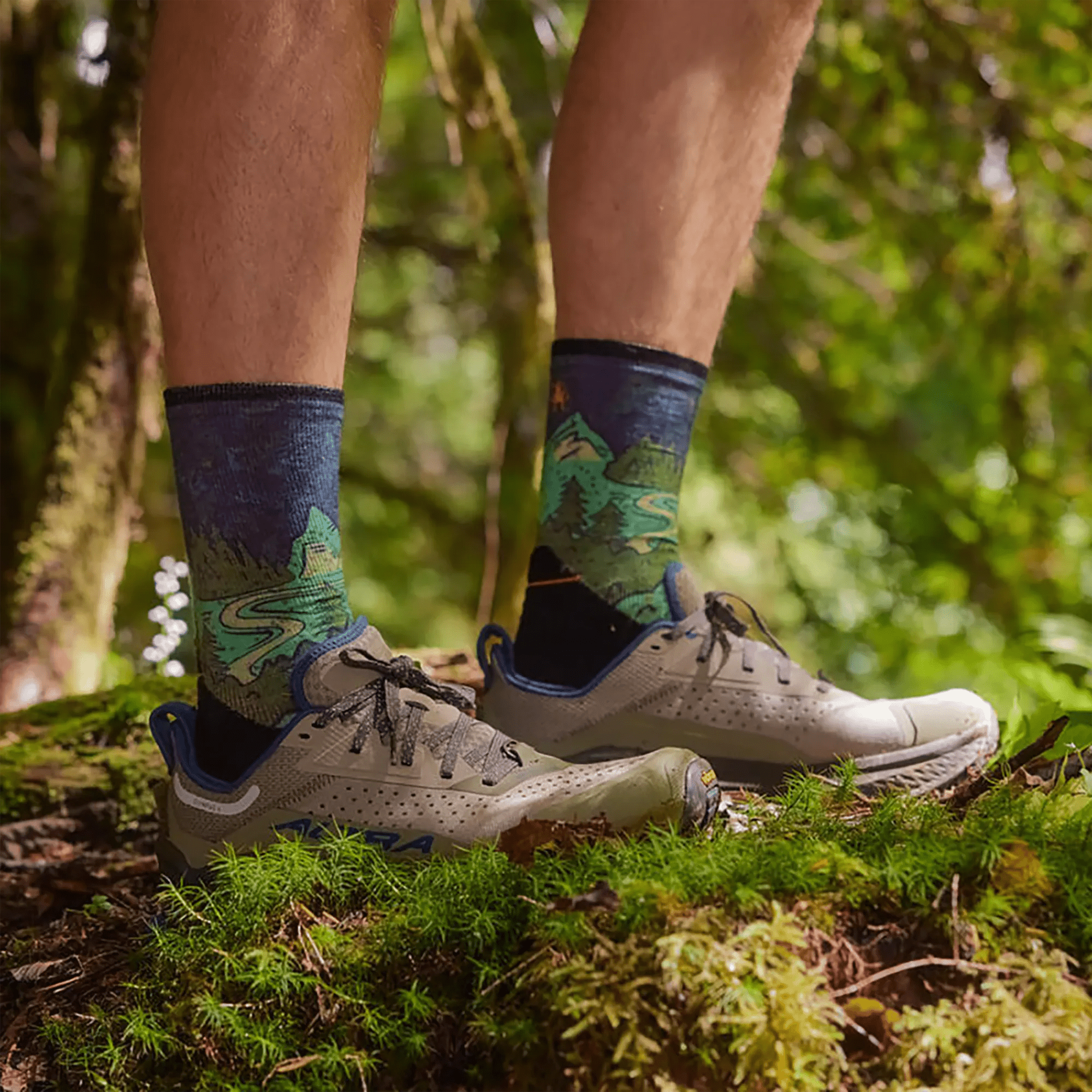 Smartwool® Trail Run Targeted Cushion Crew Socks - Neature Print