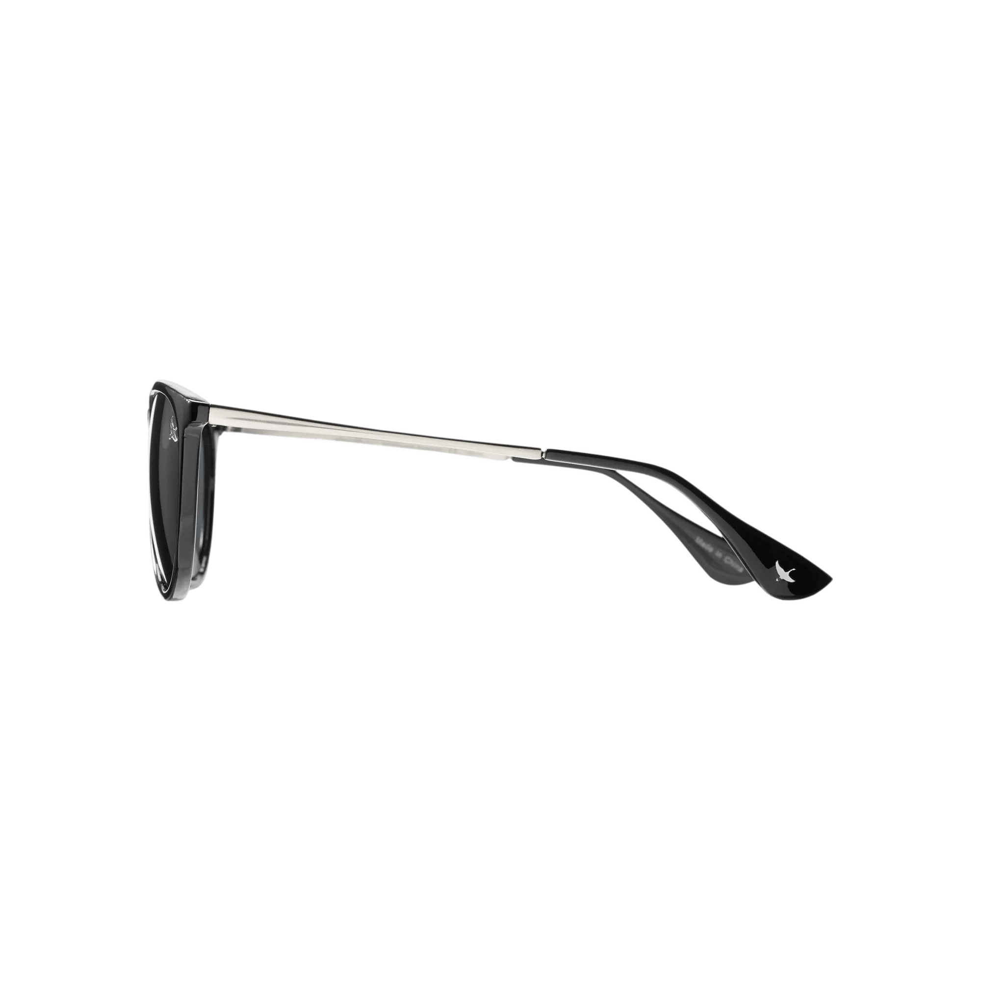 Montlake Polarized Sunglasses