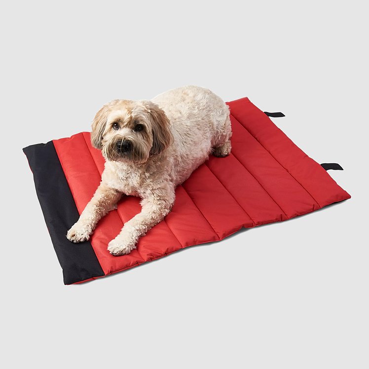 Roll up 36x24 Travel Pet Bed Eddie Bauer