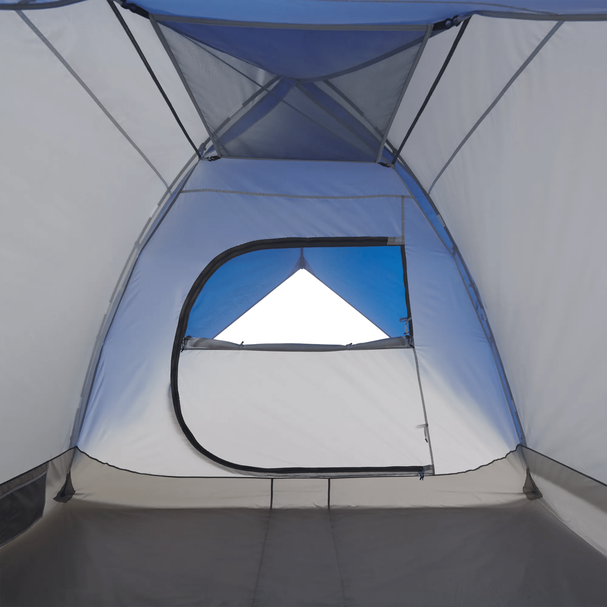 Carbon River Tent