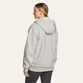 Men's Everyday Fleece Full-zip Faux Shearling-lined Hoodie