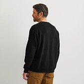alt image