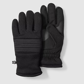 Men's Rainier Fleece Gloves