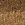 Dk Oak