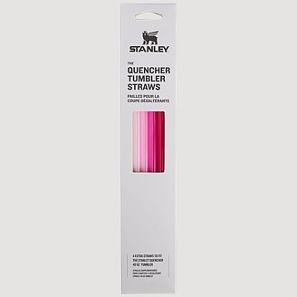 Stanley Adventure Quencher Travel Tumbler Straws | 40 Oz. | 4 Pack