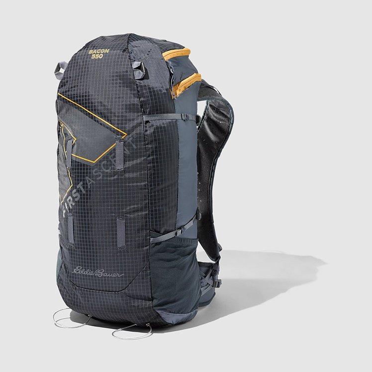 Bacon 2.0 Backpack Eddie Bauer