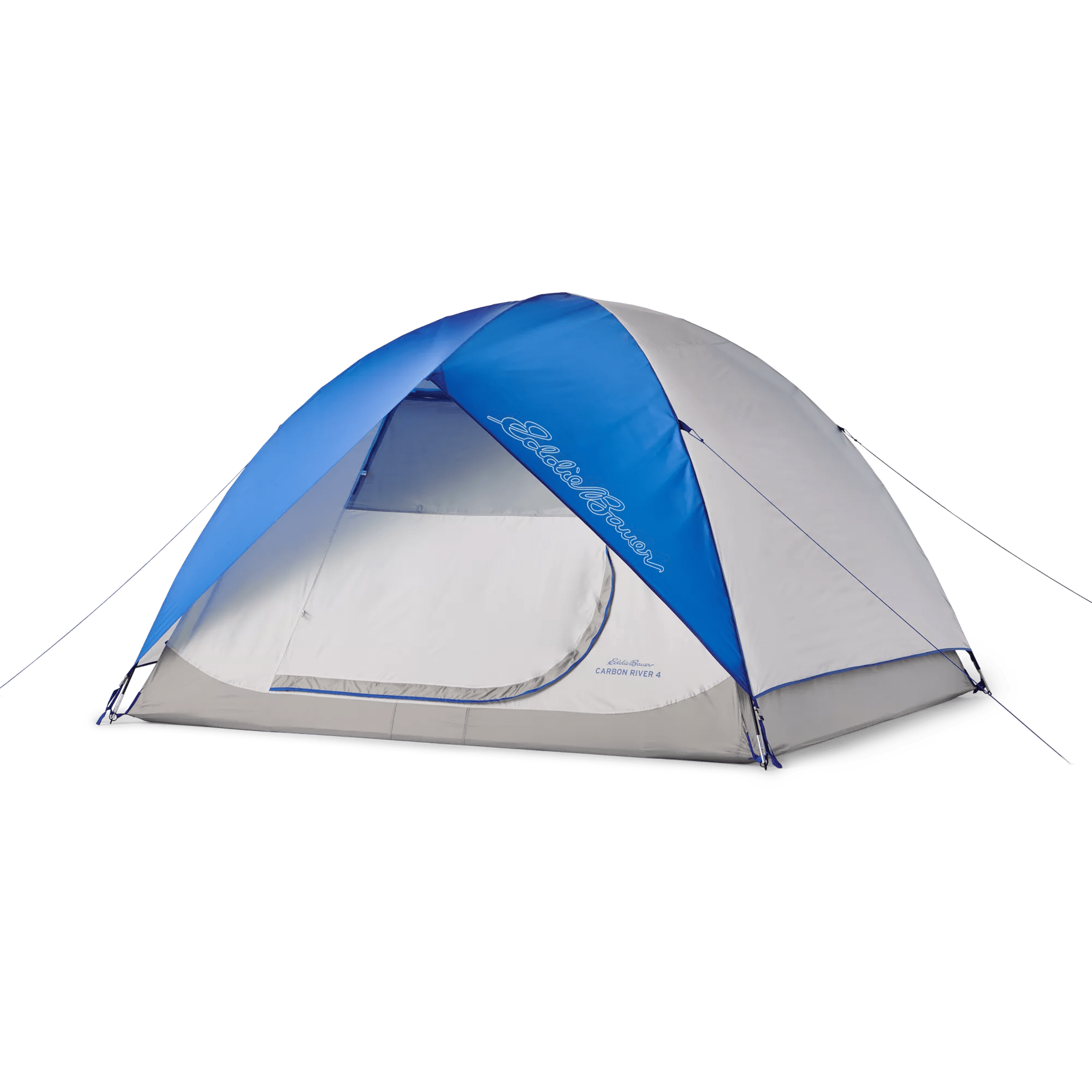 Carbon River Tent