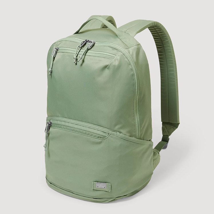 Skylar 20l Backpack Eddie Bauer