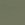 Spruce