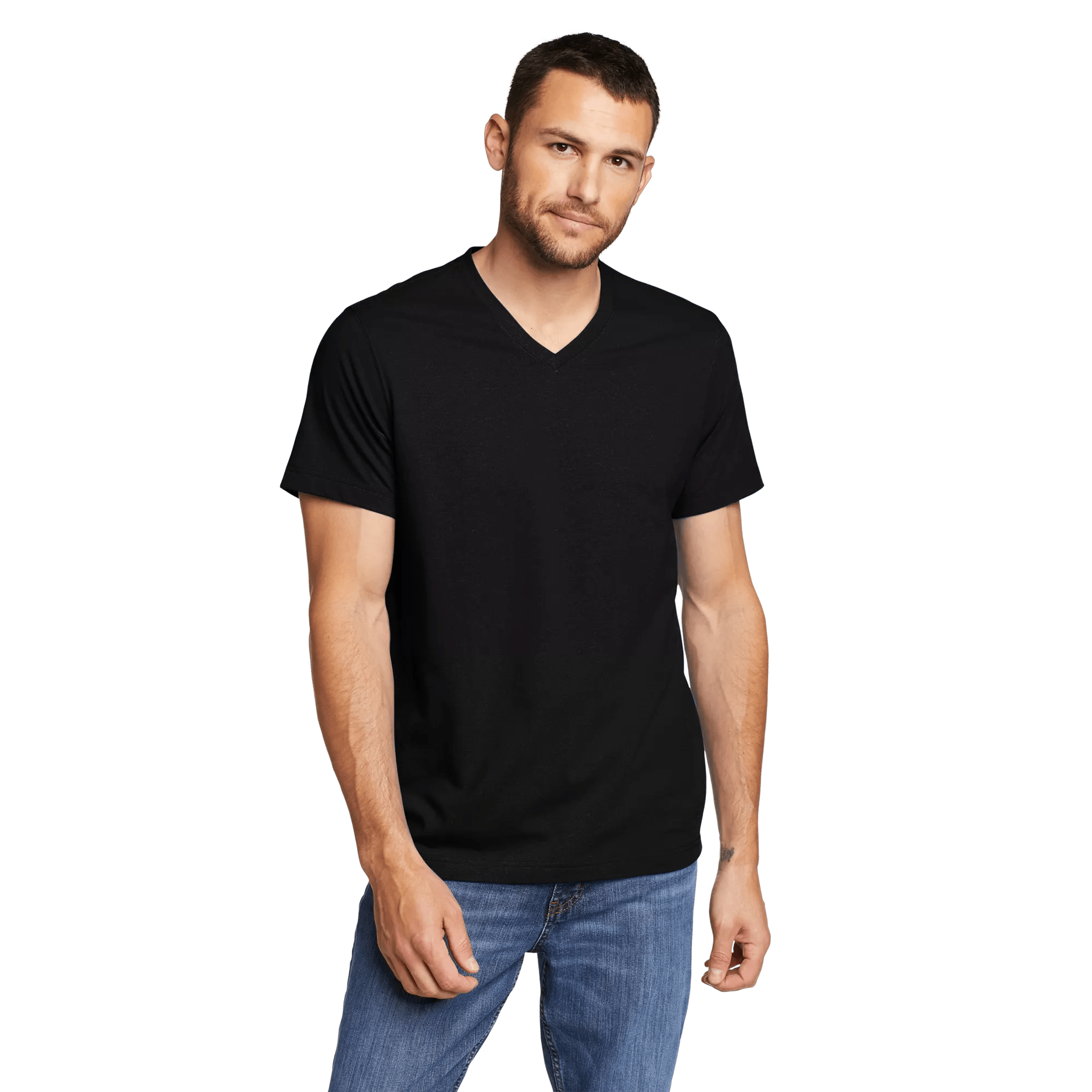 Legend Wash 100% Cotton Short-Sleeve V-Neck T-Shirt
