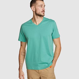 Men's Legend Wash 100% Cotton Short-Sleeve V-Neck T-Shirt