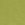 Green Olive