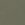 Spruce