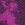 Deep Magenta
