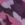 Dark Mulberry