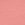 Desert Rose