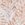 Cameo Pink